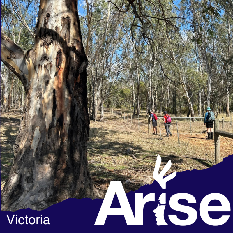 Arise Vic 23-25 Oct 2026